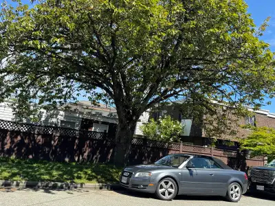 Good shape, new Alternator, new Battery, new tires, all service work up to date, with receipts avail...