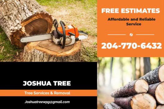 Josh’s tree removal. Fully insured amazing pricing  in Lawn, Tree Maintenance & Eavestrough in Winnipeg