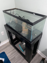 20 Gallon Long Fish Tank With Stand