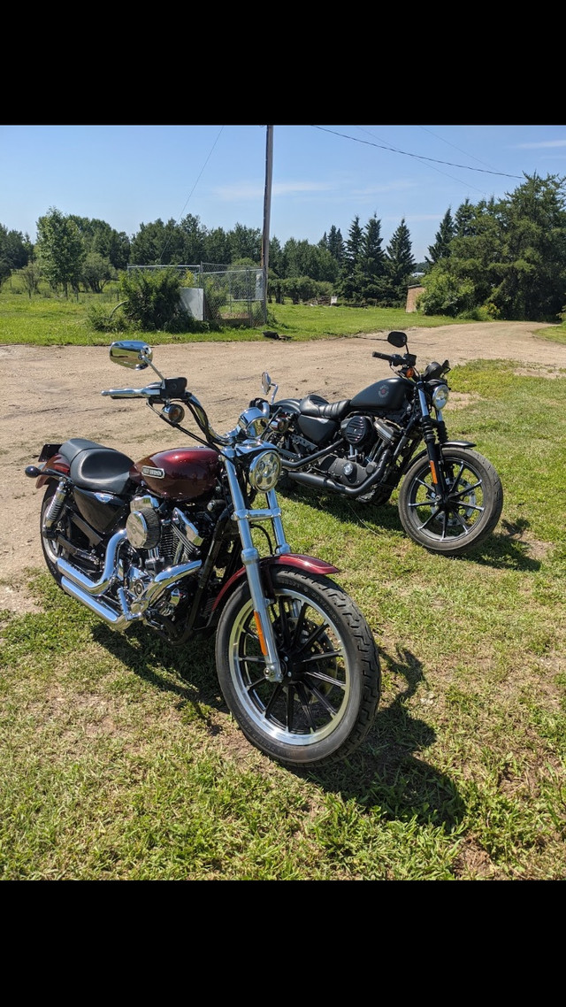 Harley Davidson Sportster in Street, Cruisers & Choppers in Edmonton