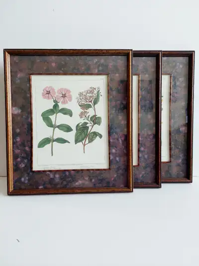 3 'Edwards Botanicals' prints, by Bombay Compa, View more