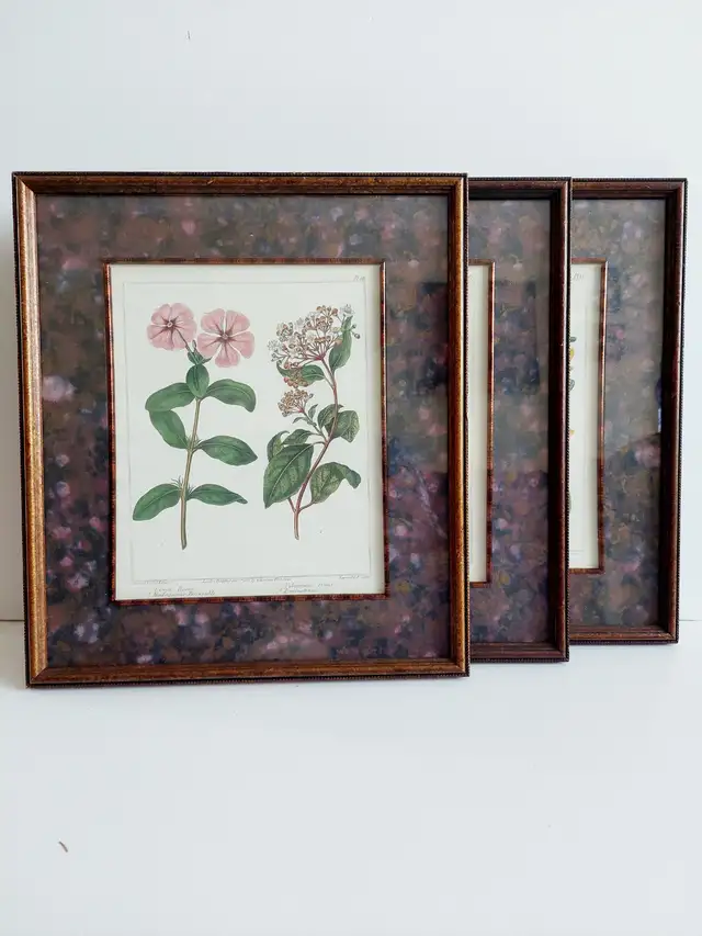 3 'Edwards Botanicals' prints, by Bombay Compa in Home Décor & Accents in Hamilton - Image 2