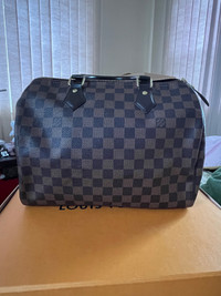 Authentic Louis Vuitton Speedy Bag 