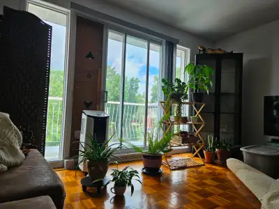 4 et 1/2 dans les immeubles OASIS ,rue Édouard situé à 3 pas rue de l'Aqueduc,et notre-dame ouest, p...