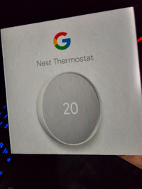 Google Nest thermometer