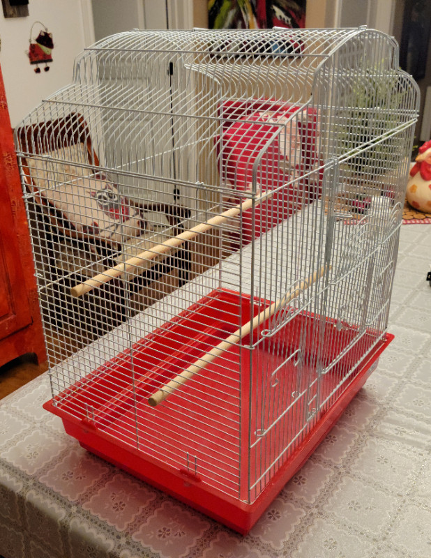 Petite Cage pour Oiseaux à Vendre dans Accessoires  à Lanaudière - Image 2