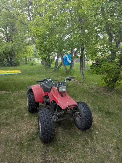 Just needs a new spark plug and oil filter. Running fine. You may want to replace the battery if you...