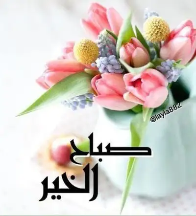 Aide a domicile, View more