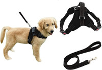 BRAND NEW Cat Harness and Leash, Dog Safety Harness with Leash