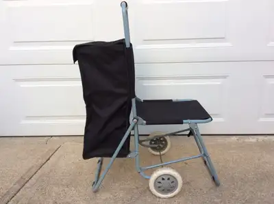 GROCERY CART WITH FOLD DOWN SEAT, View more