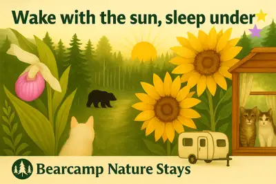 Bear Pass – A Forest Stay, Off-Grid with Hydro, View more