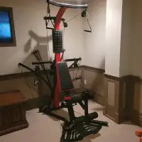 Bowflex Exercise Machine