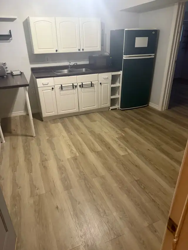 bachelor basement suite for rent