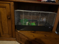 Hamster cage and lots of accessories