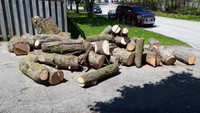 Tree Guys and Aborists..need a place to dump logs?