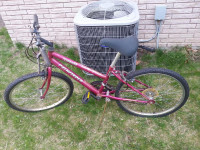 $20.  girls bicycle