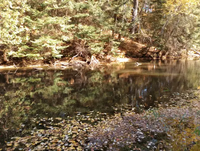 Waterfront Lot appx 3.4 AC in Nipissing Ont. year-round road in Land for Sale in North Bay - Image 3