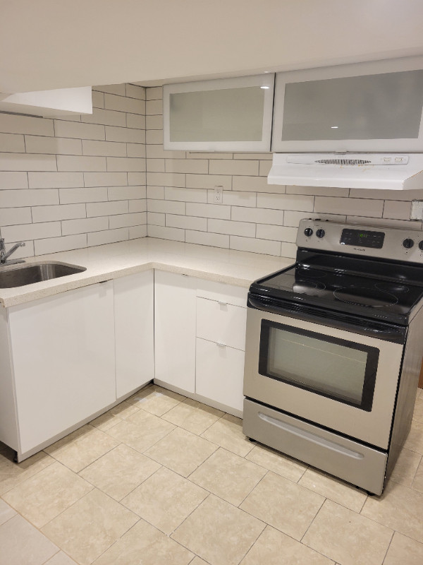 Newly Renovated One Bedroom Basement Two Separate Entrances Long Term