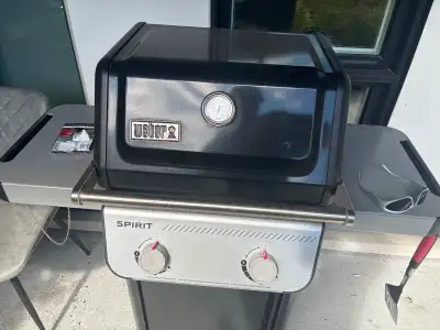 BBQ weber partir rapidement, View more