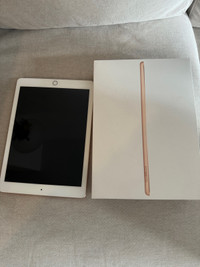 iPad Gen 6 with Apple Pencil and free stand.