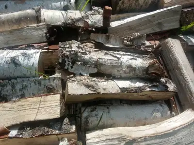 Selling cut and split birch All pieces are cut around 16" to 20" in length For a pick up truck load...