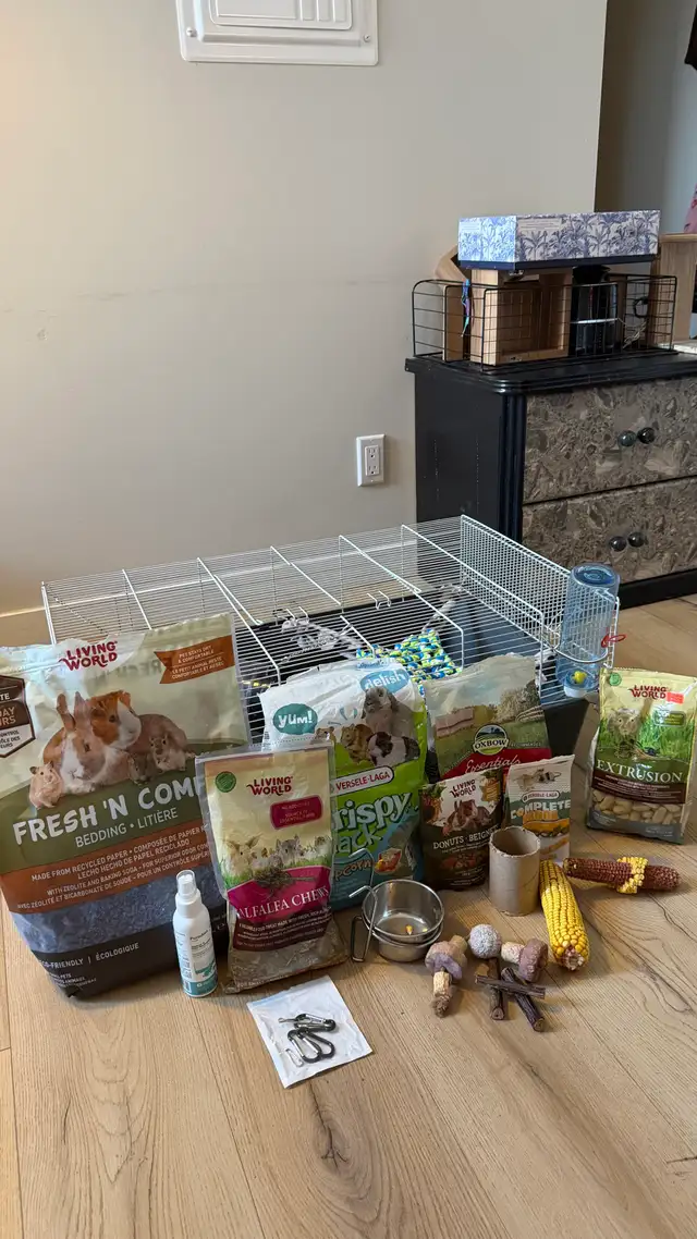 Ensemble cage à rongeurs (équipement complet) in Accessories in St-Georges-de-Beauce - Image 9