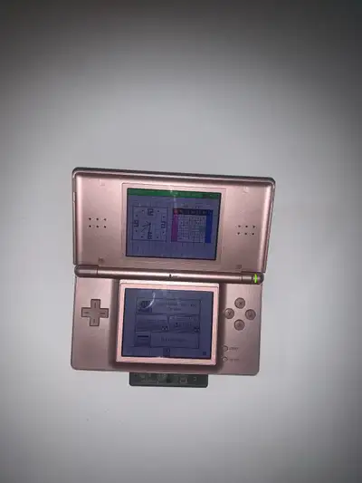 Nintendo DS Lite, View more