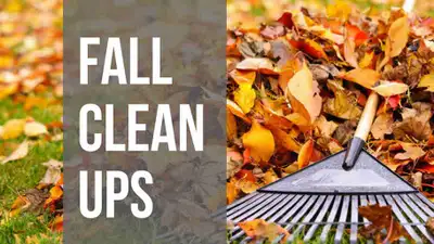 Fall Cleanup & Tree Service - 5875791138, View more