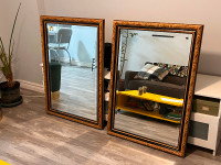 Two mirrors 49x29 inches Rusty Gold and Black frame