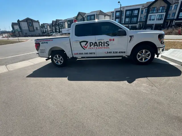 Pest Control Service63654773829379123