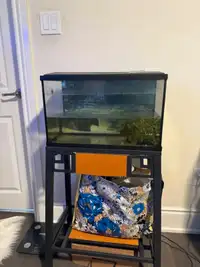 10-Gallon Fish Tank with Matching Stand – Get Yours Now