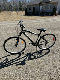 21 speed Infinity Copperhead Bike for sale