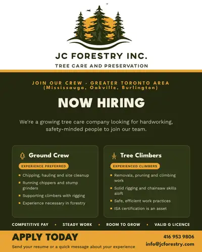 NOW HIRING FULL TIME FORESTRY COMPANY, View more