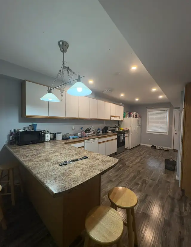 Private bedroom near University of Windsor in Room Rentals & Roommates in Windsor Region - Image 4