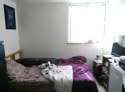 ASAP: Female roommate. Available now. 1 of 4 rooms.