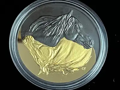Strong and steady, Canada’s national horse is the embodiment of our collective spirit. The magnifice...