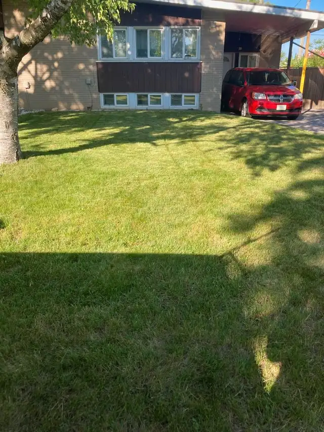 Grass Cutting Scarborough / Pickering / Whitby62863233571842122