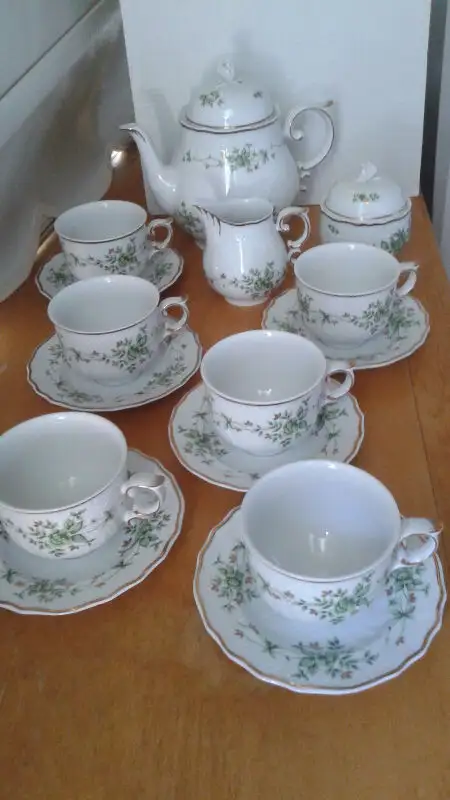 Exclusive Hungary Hollóháza 17 piece fine porcelain set62863271550339121