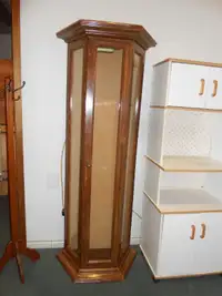Wood display cabinet with light and 3 glass shelves