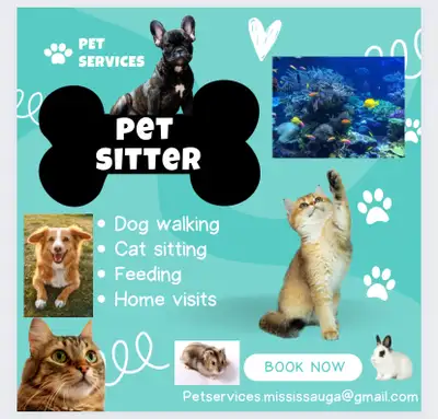 Pet Services (Boarding, sitting, walking) , View more