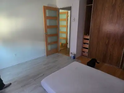 Chambre a louer 650 tout inclus. Je suis une femme et je cherche une femme pour partager un grand 41...