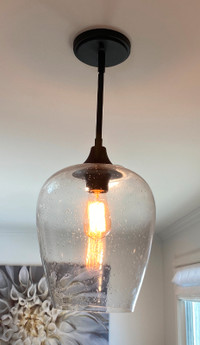 Pendant Light ($50)