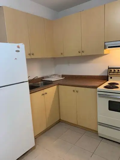 Basement for Rent in Vaughan. (L6A3Y1) - 1 bedroom - 1 full washroom - Full Kitchen - Separate Entra...