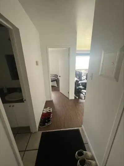 appartement 3 et demi