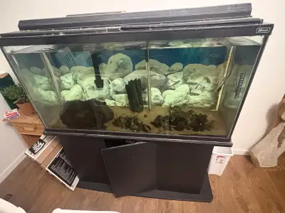 75 gallon aquarium , View more