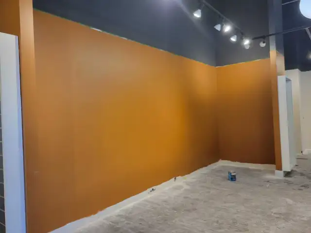 Handyman/Painter/Contractor64988204532483122