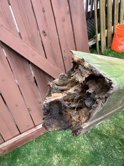 Leaning - Rotten Fence Post Repair $250 per post 4x4 $350 per posts 6x6 New 4x4 post New concrete Re...