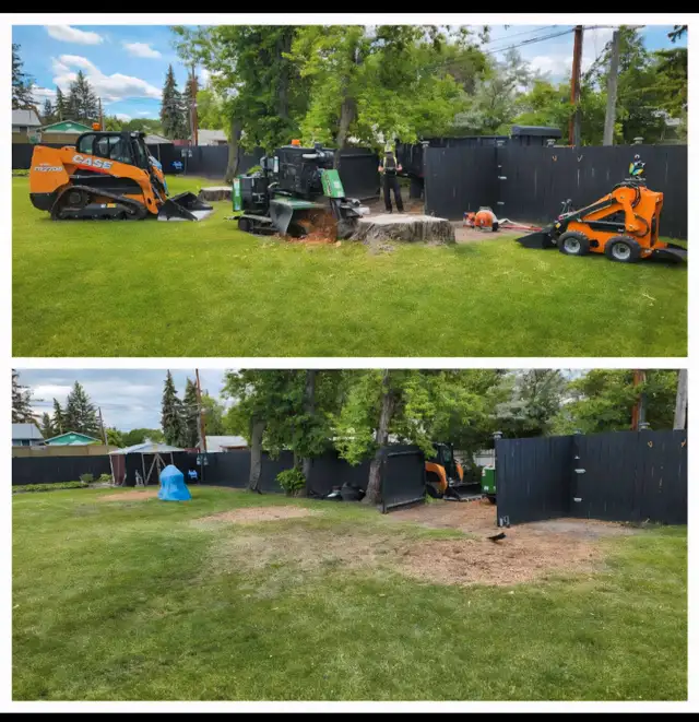 Quality Low Cost Stump Grinding 63848994216963121