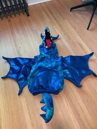 Kids Dragon Costume