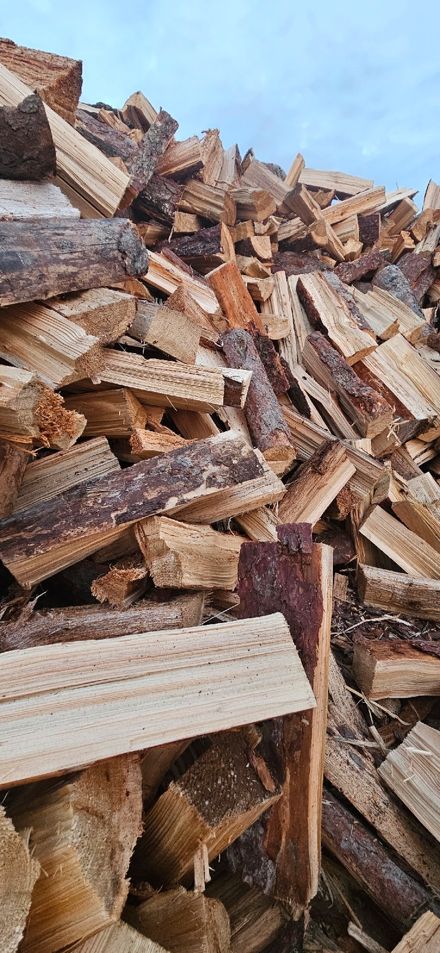 Firewood for sale Tamrack  in Fireplace & Firewood in Winnipeg